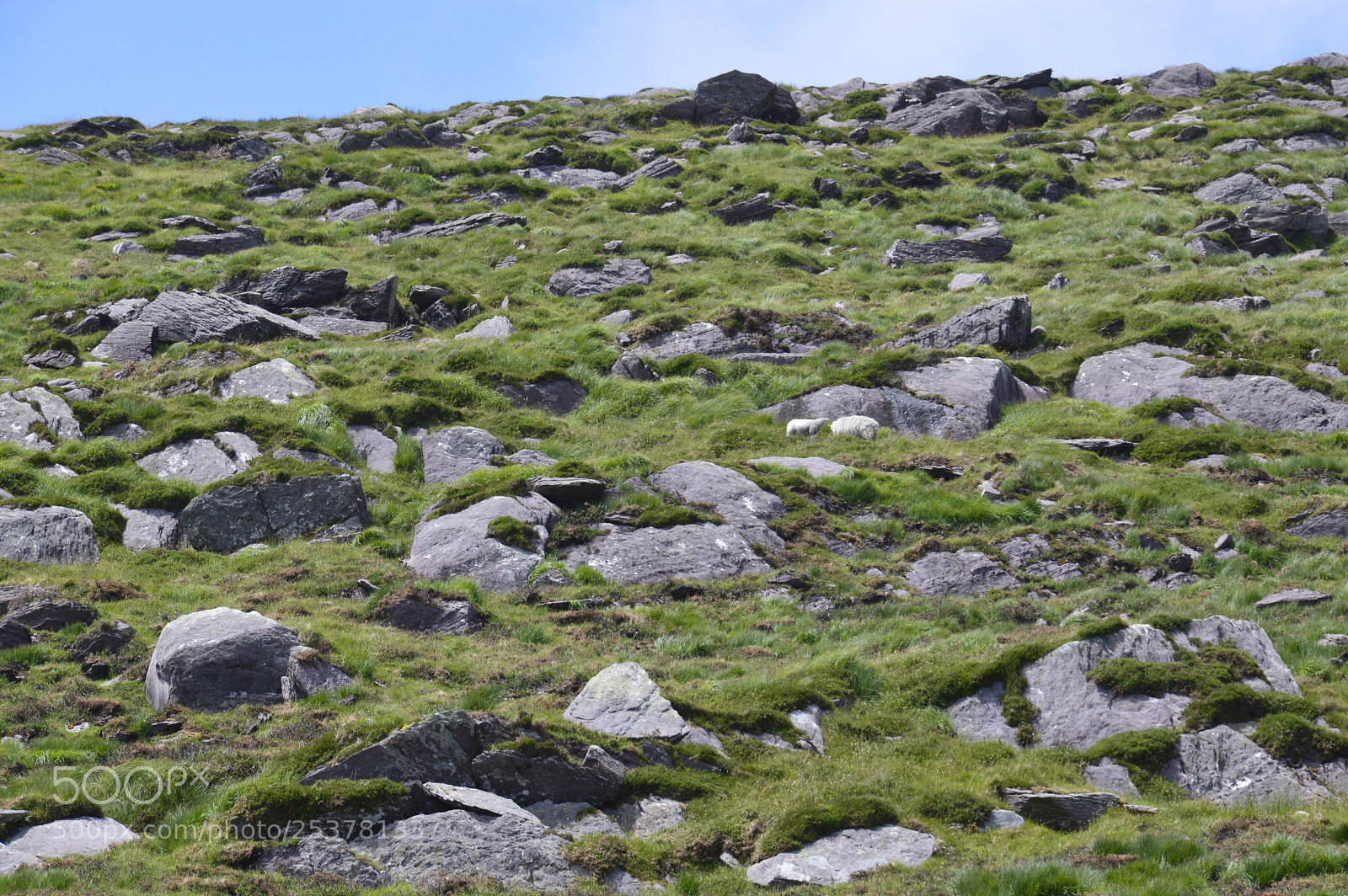 Nikon D3200 sample photo. Stones field photography