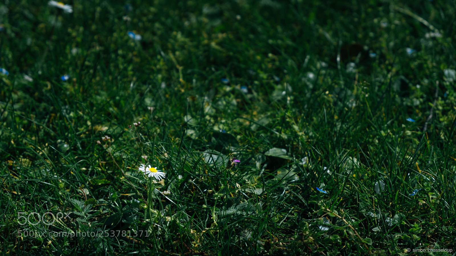 Fujifilm X-T2 sample photo. The first one photography