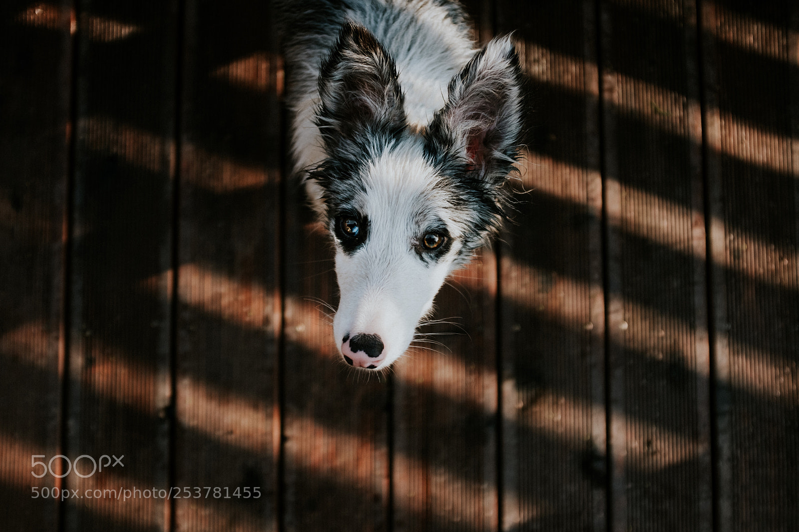 Fujifilm X100F sample photo. Shadow core photography