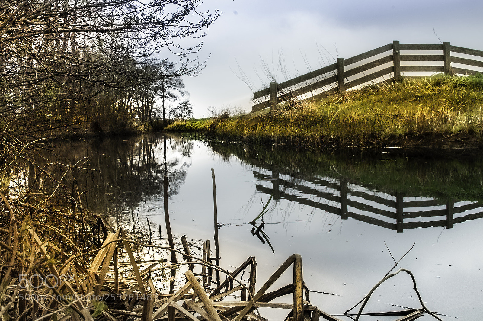Nikon D5000 sample photo. Riverside photography