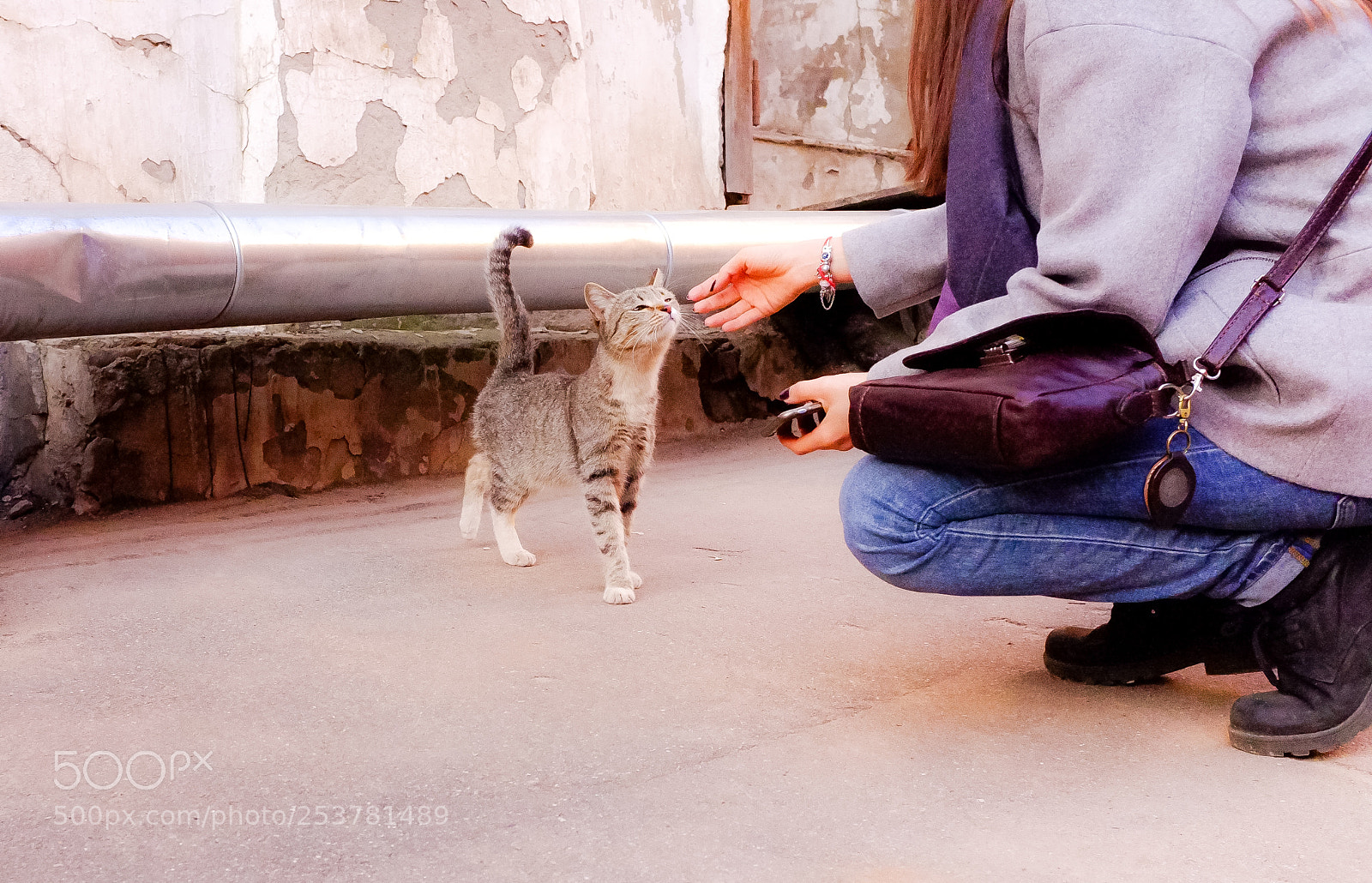 Fujifilm FinePix X100 sample photo. Cat photography