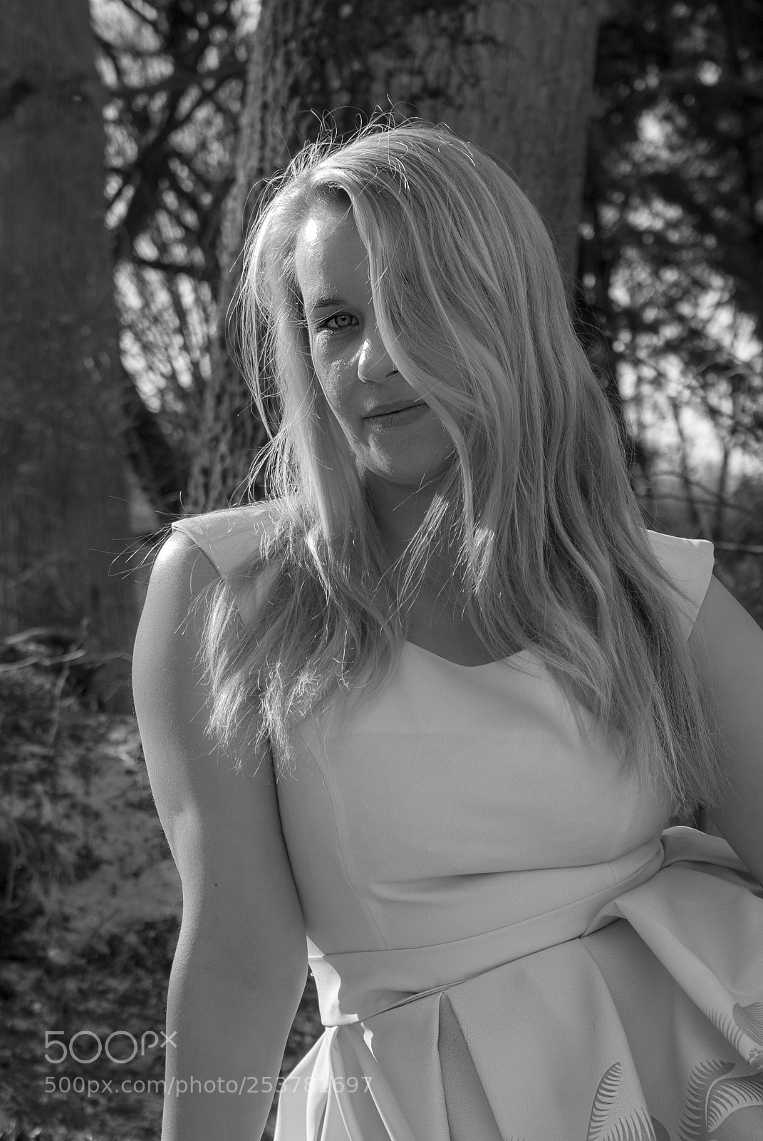 Sony Alpha DSLR-A100 sample photo. Grey photography