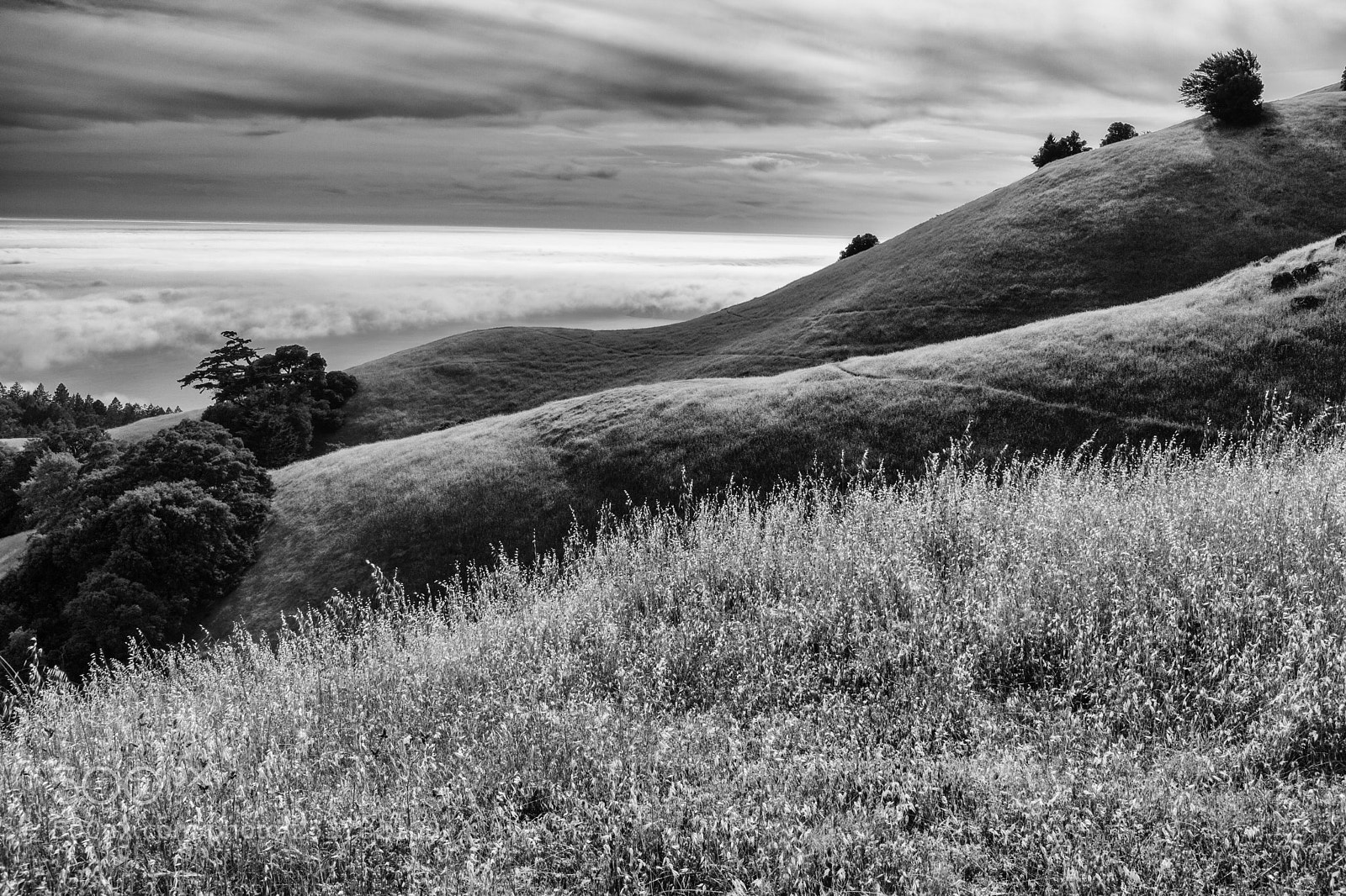 Canon EOS 5D Mark II sample photo. Mount tamalpais waves photography
