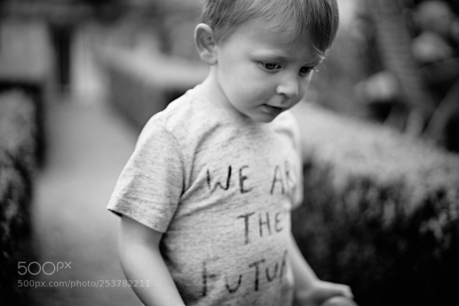 Sony a7R III sample photo. Day one hundred & five photography