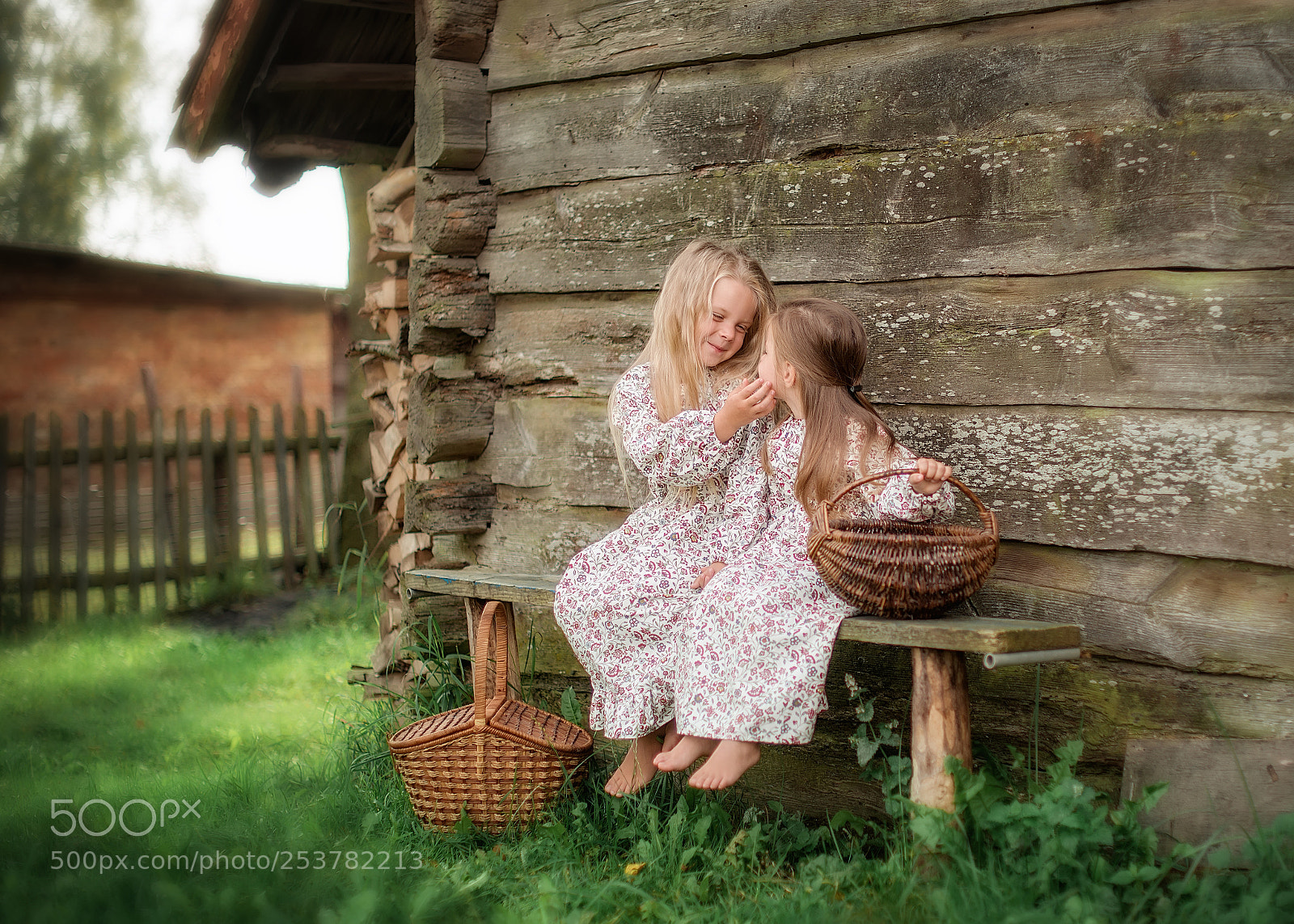 Nikon D610 sample photo. Деревенское лето photography