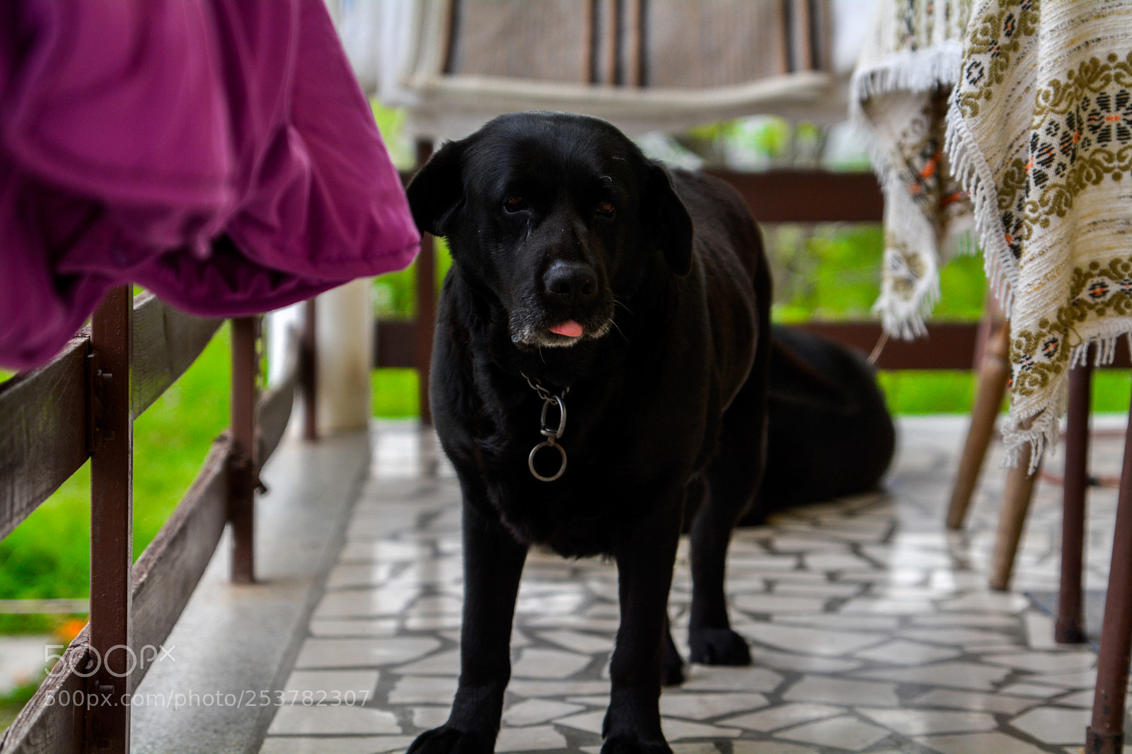 Nikon D7100 sample photo. This is rea photography