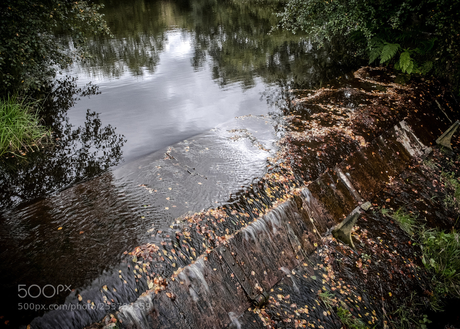 Fujifilm X-T1 sample photo. Untitled photography