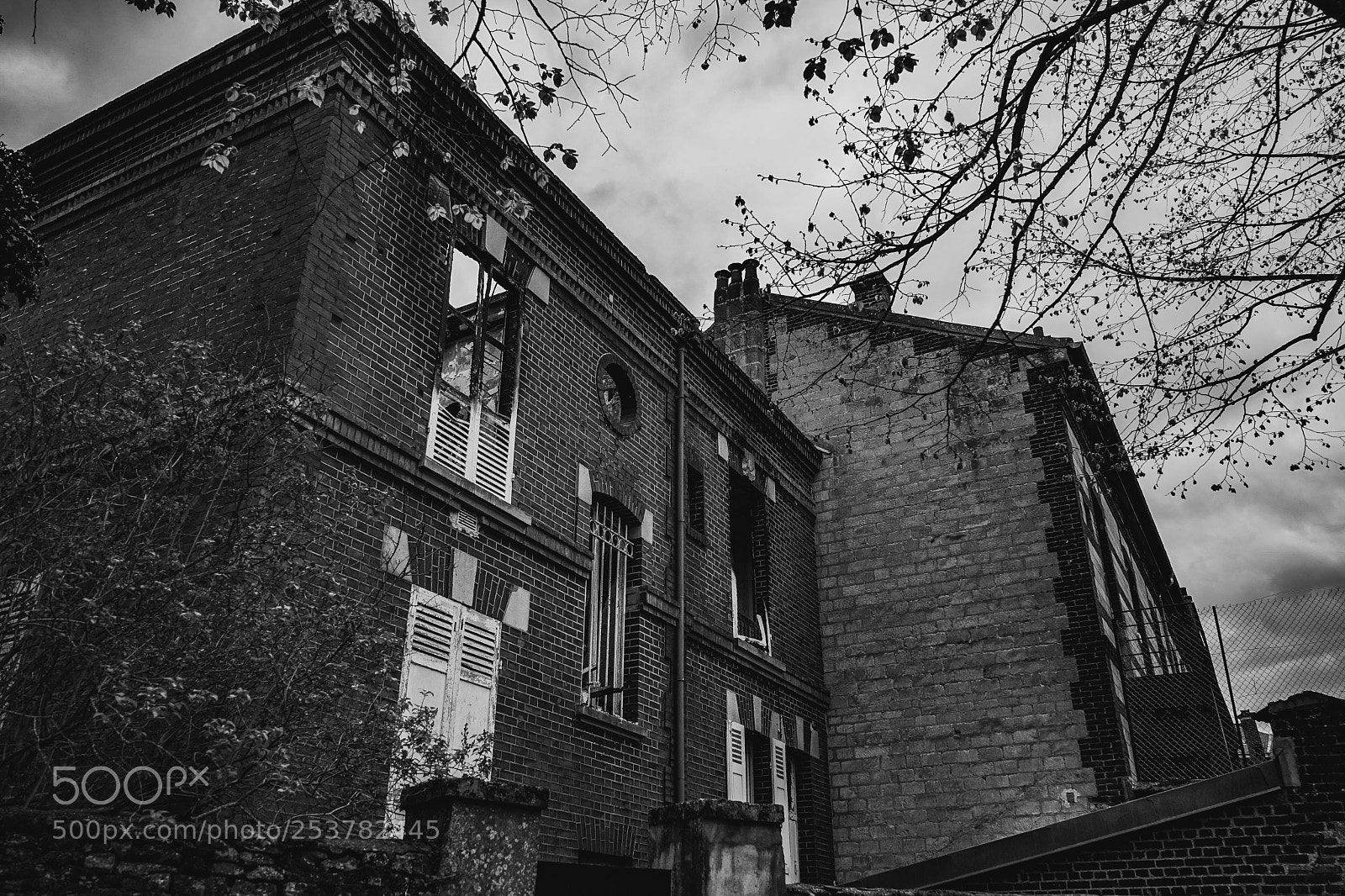 Sony a7 sample photo. Untitled photography