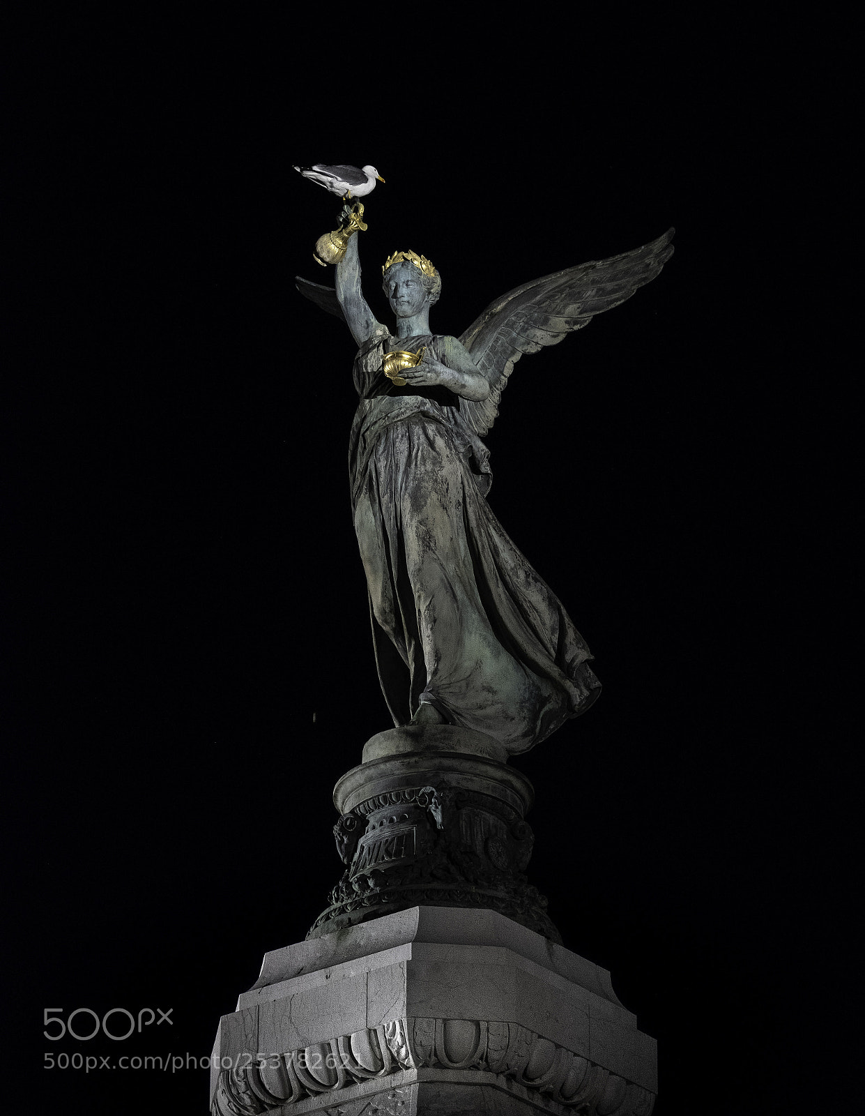 Fujifilm X-T2 sample photo. Well paid seagull photography