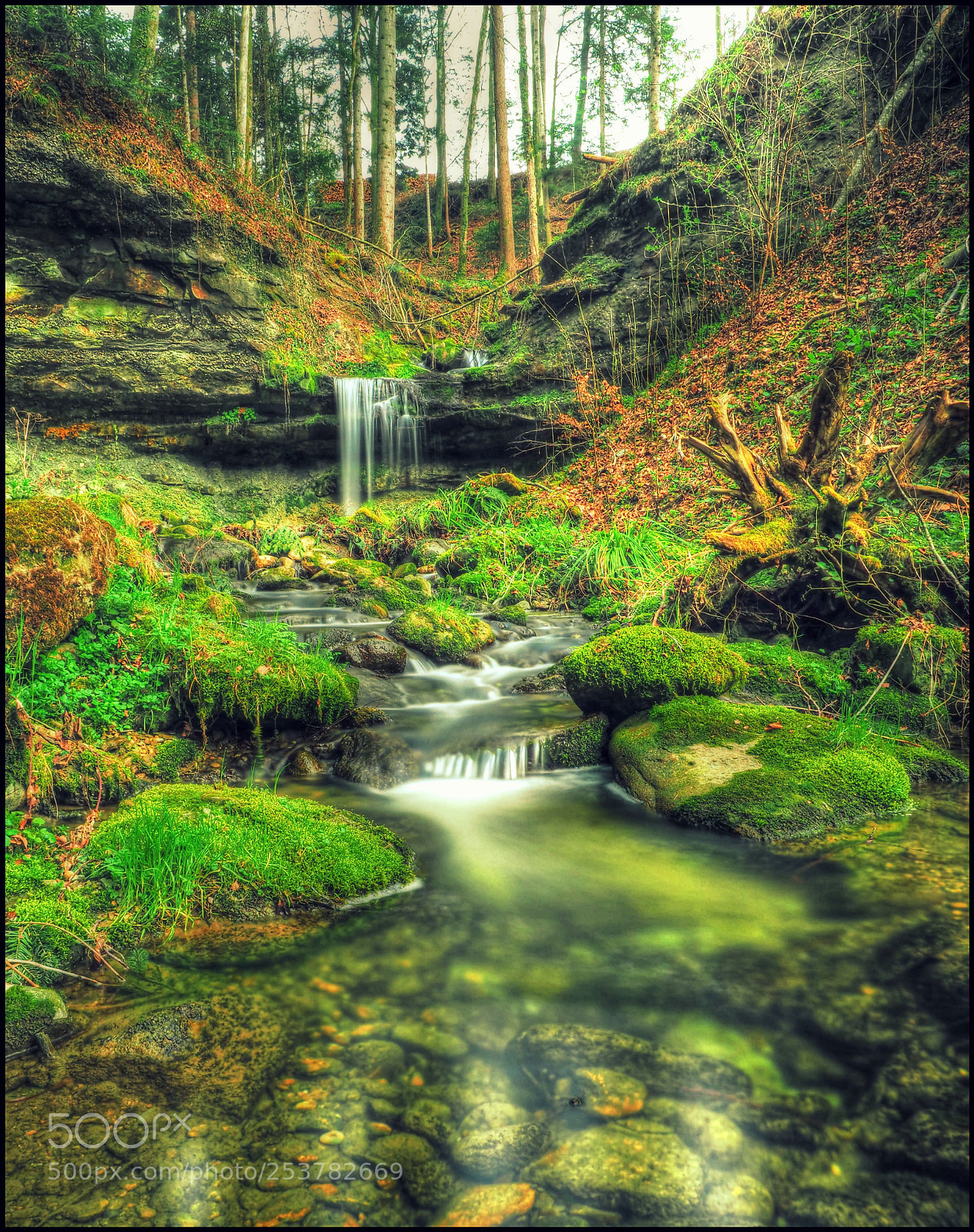 Olympus OM-D E-M1 Mark II sample photo. Bächlein photography