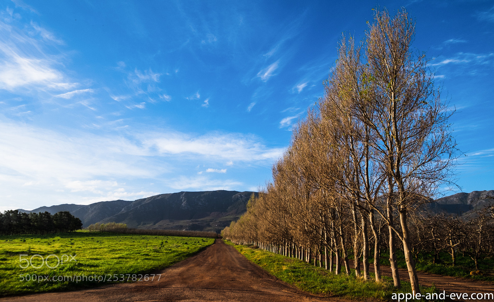 Fujifilm X-T1 sample photo. Dirt road photography
