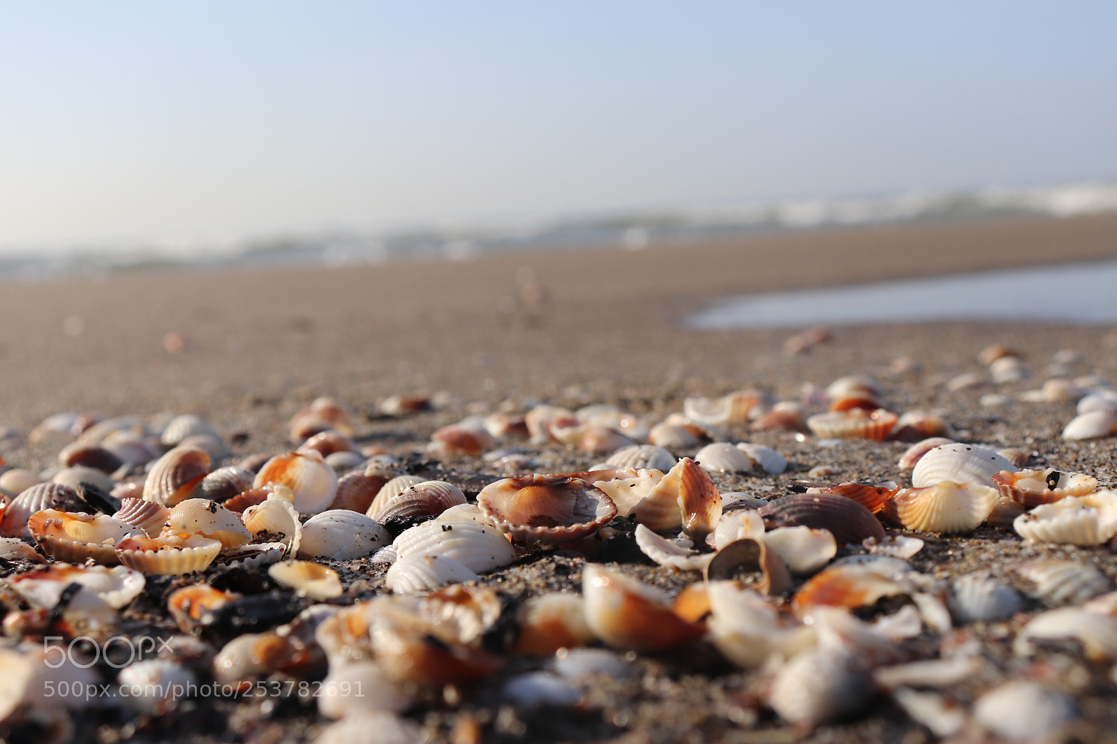 Canon EOS 800D (EOS Rebel T7i / EOS Kiss X9i) sample photo. Caspian beach photography