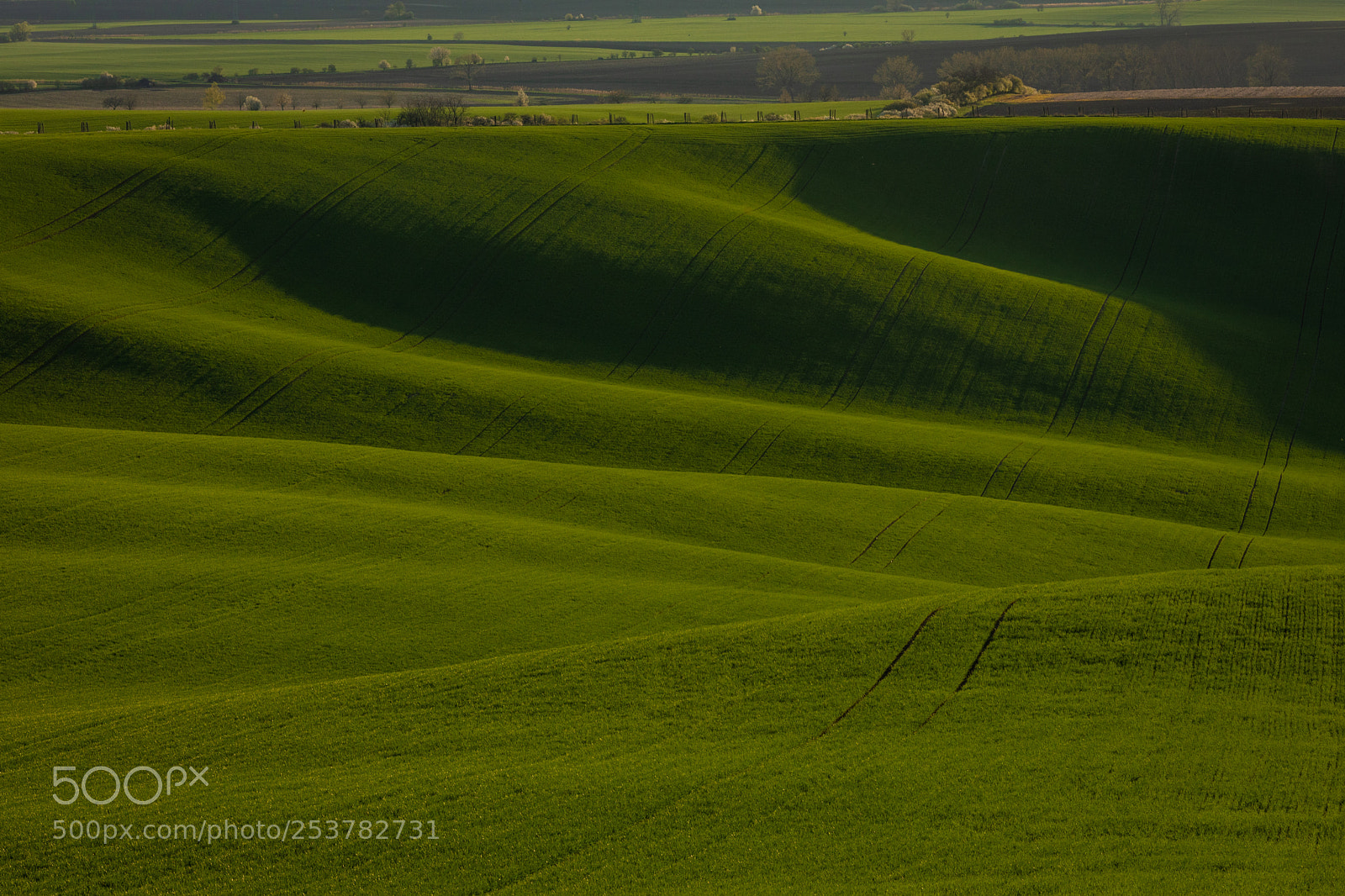 Canon EOS 5D Mark IV sample photo. Moravian toscany photography