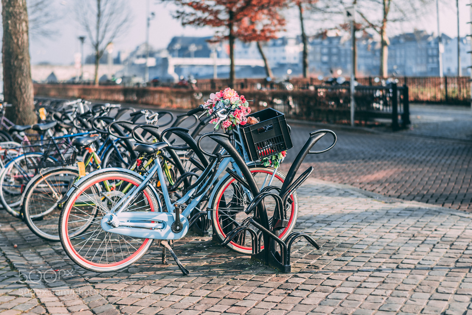 Nikon D810 sample photo. Cycle maastricht photography