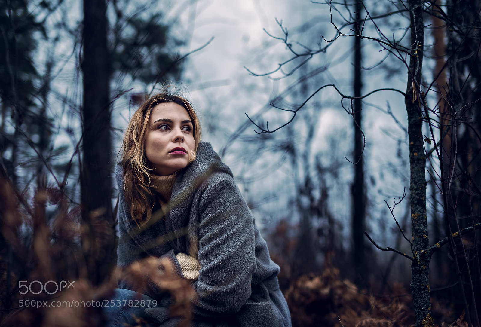 Nikon D610 sample photo. Sombre autumn photography