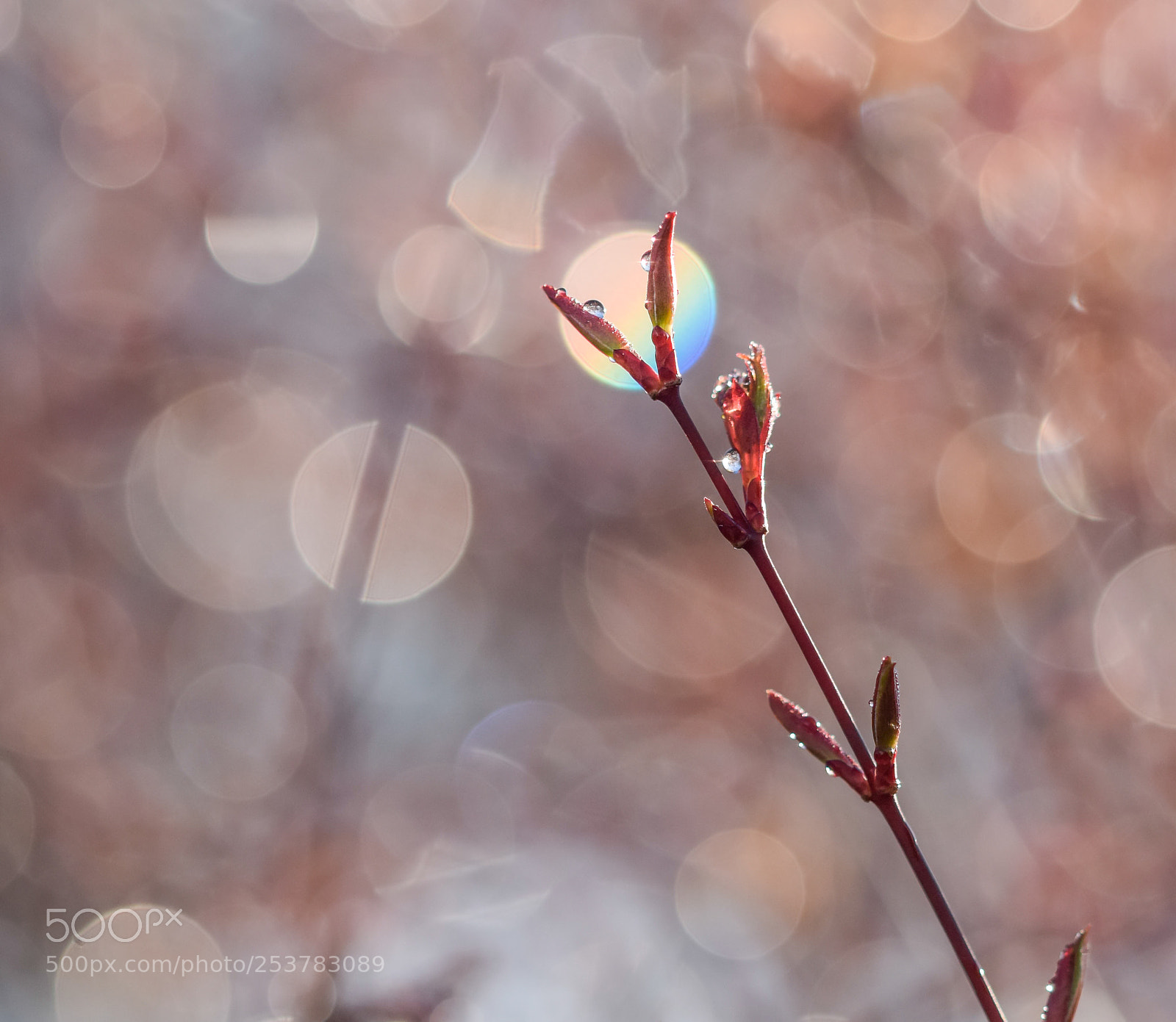 Nikon D5300 sample photo. Reflections photography