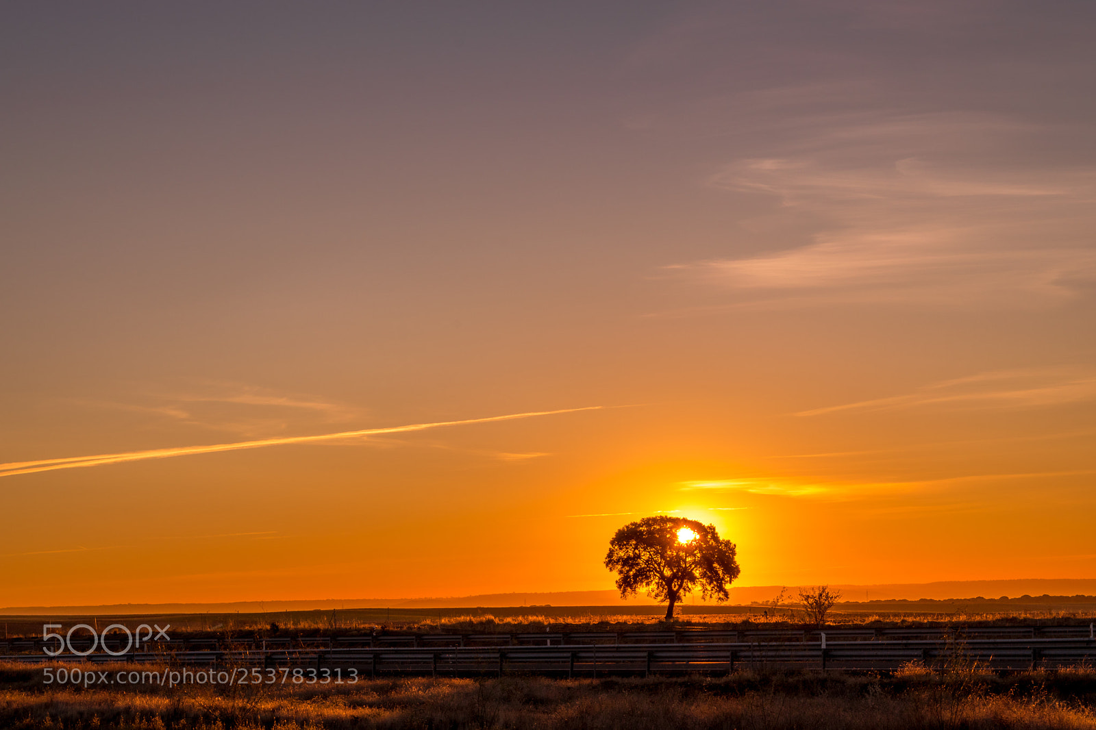 Nikon D5500 sample photo. Sunrise in spain photography