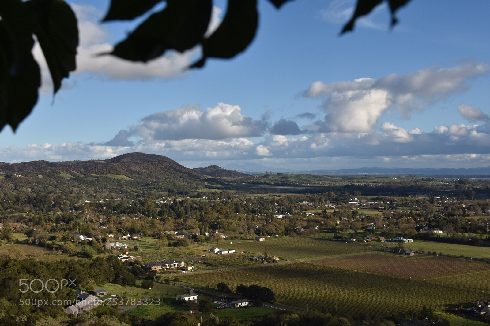 Nikon D7200 sample photo. Sonoma views photography
