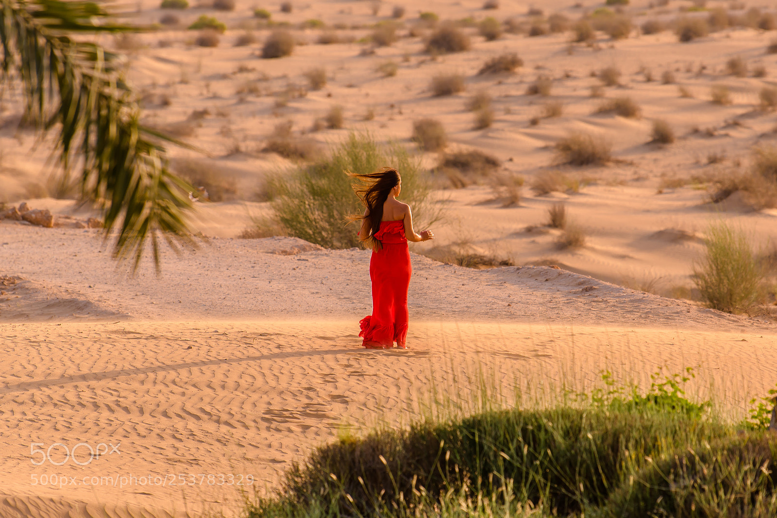 Nikon D850 sample photo. Beauty in the dunes photography