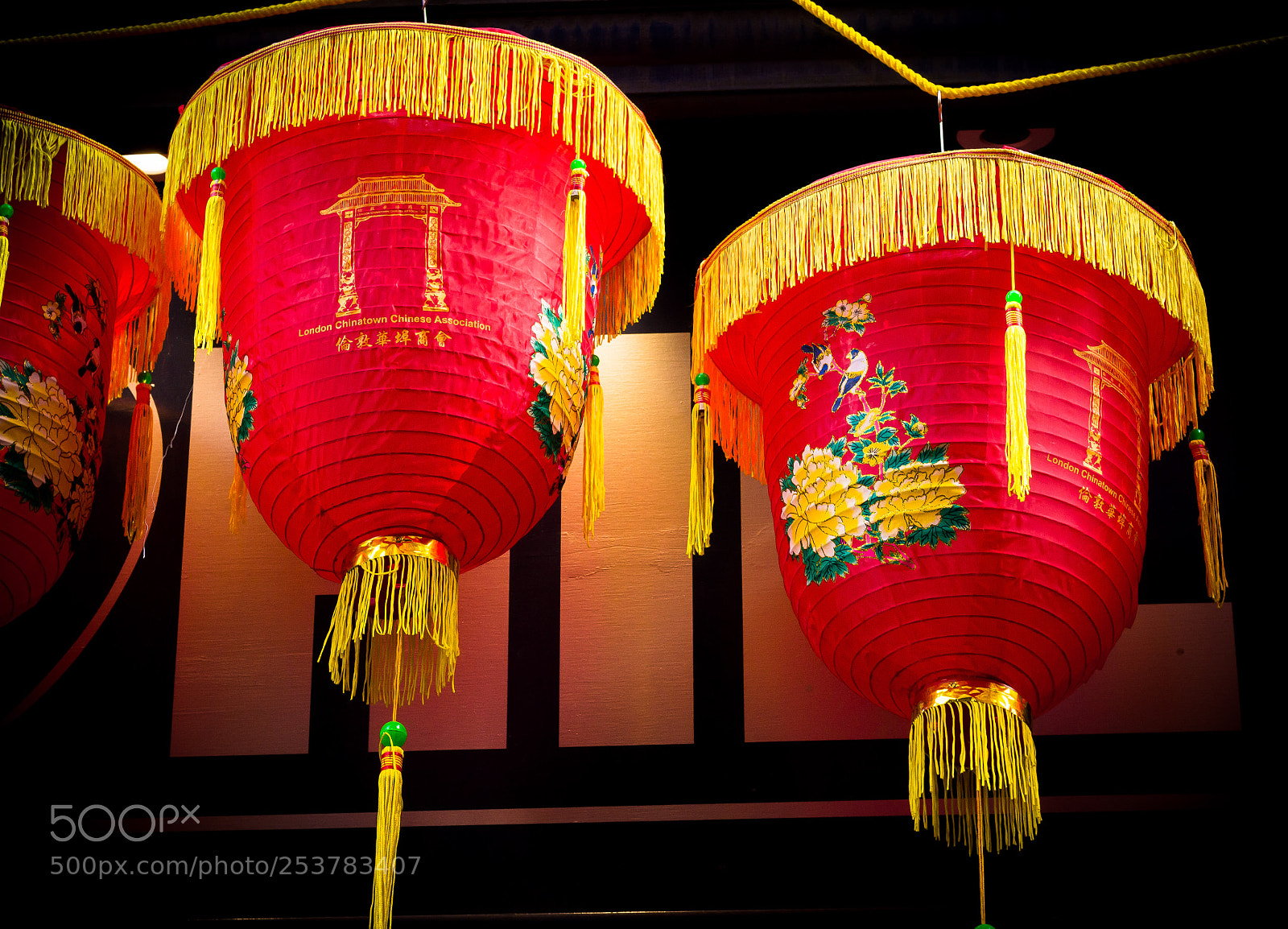 Canon EOS 60D sample photo. Decorated light photography