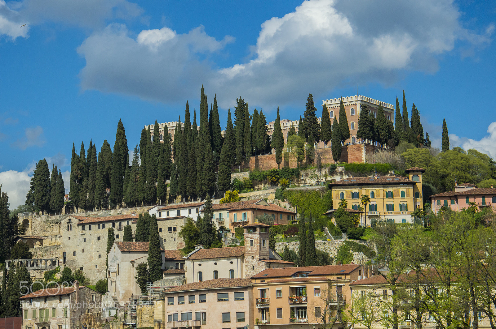 Nikon D3200 sample photo. Verona photography