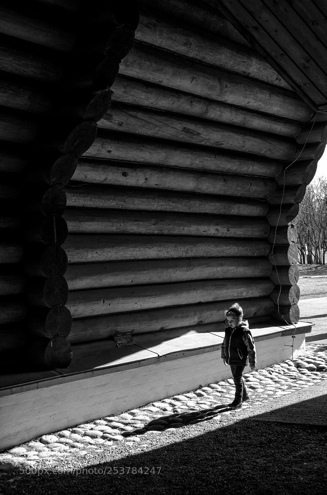 Nikon D7000 sample photo. Untitled photography