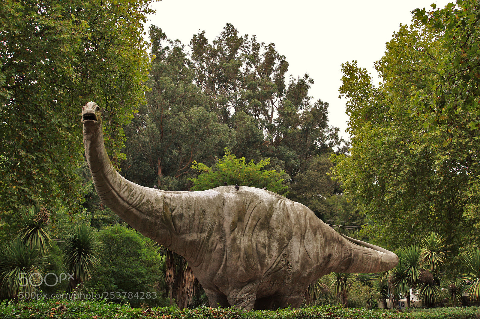 Canon EOS 1300D (EOS Rebel T6 / EOS Kiss X80) sample photo. Brachiosaurus altithorax photography