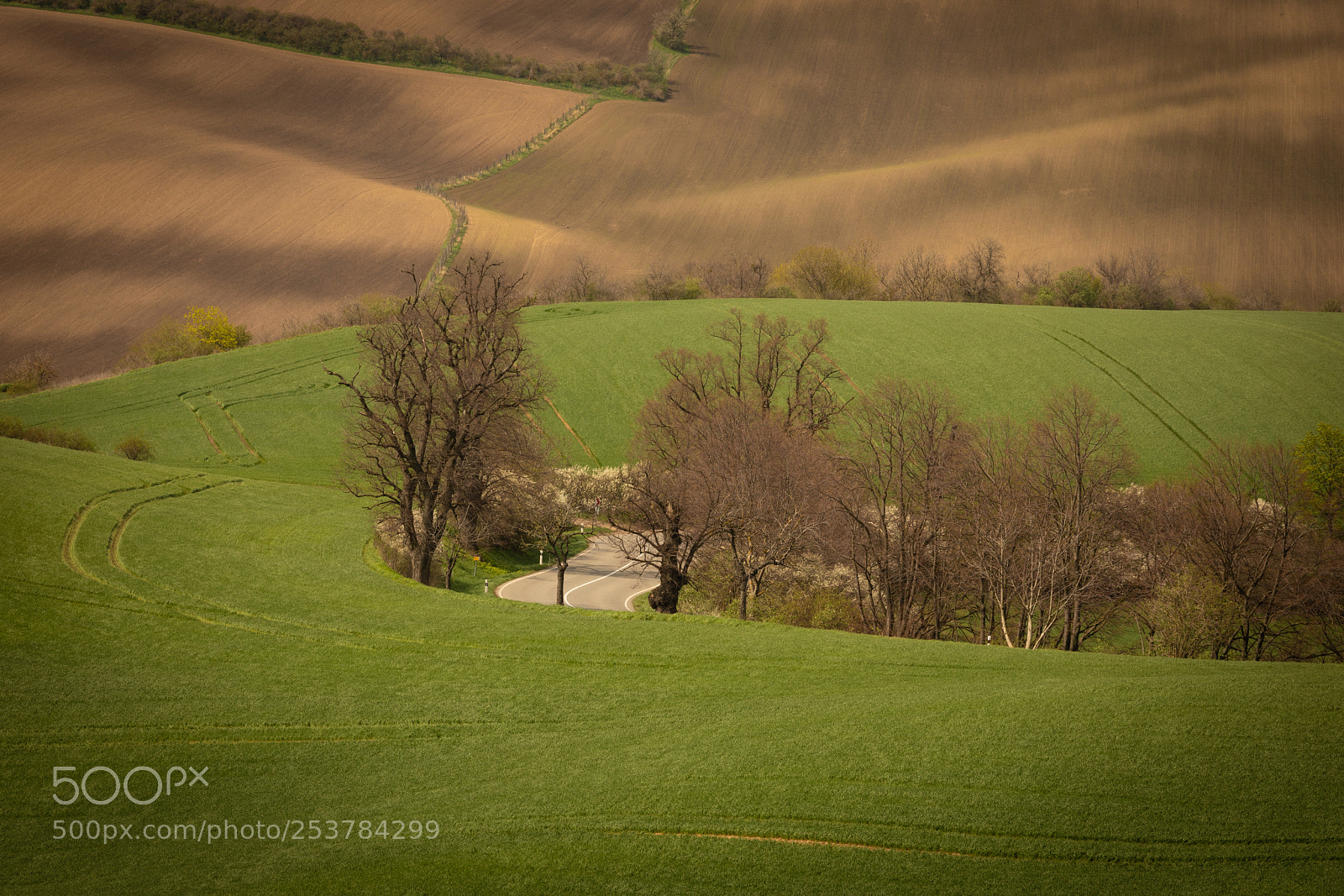 Canon EOS 5D Mark IV sample photo. The road photography