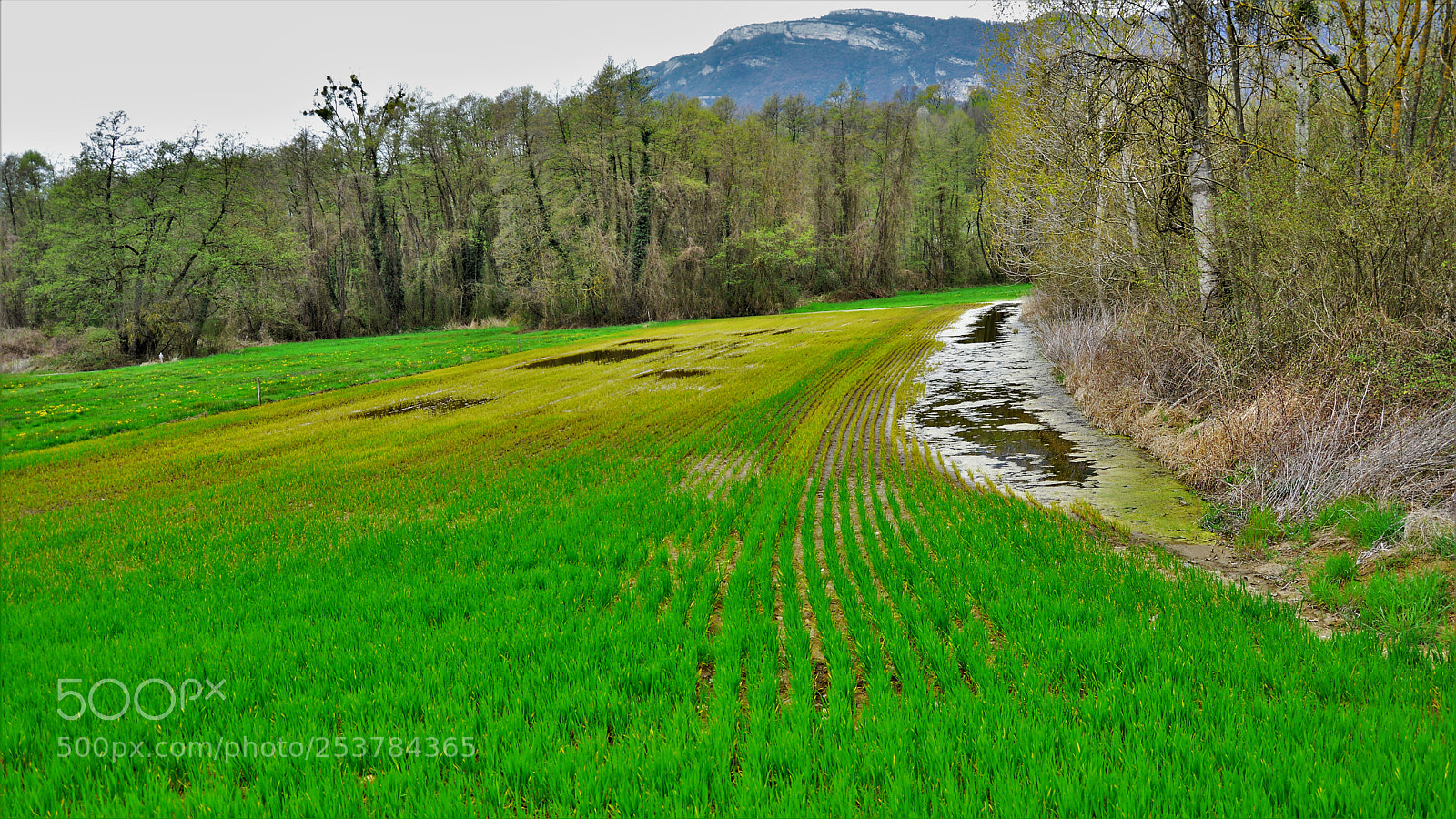 Nikon D3200 sample photo. Untitled photography