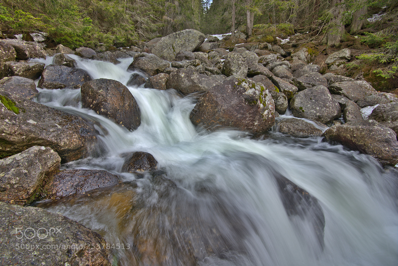 Nikon D600 sample photo. Spring stream photography