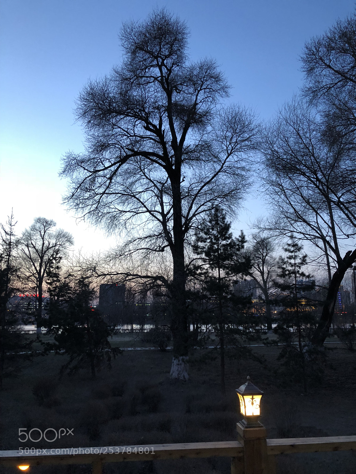 Apple iPhone X sample photo. Coming into the night photography