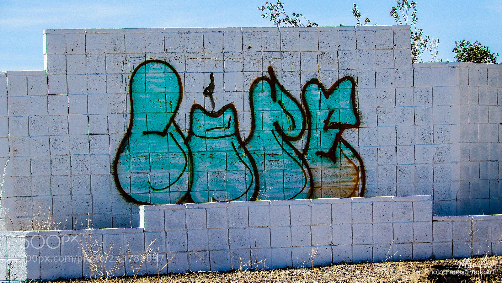 Nikon Coolpix A900 sample photo. Fat grafitti photography