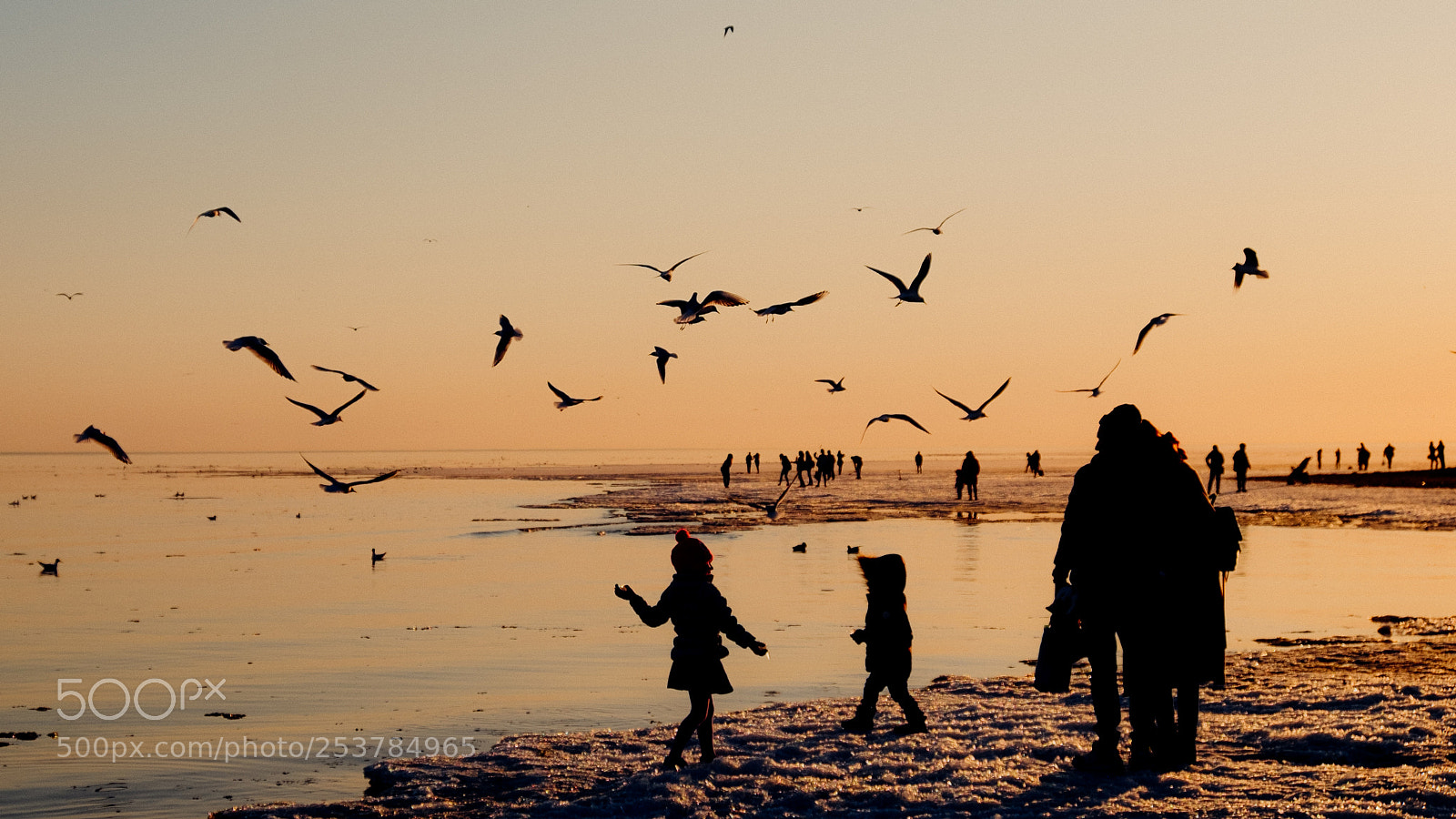Fujifilm X-T1 sample photo. Children in the sunset photography