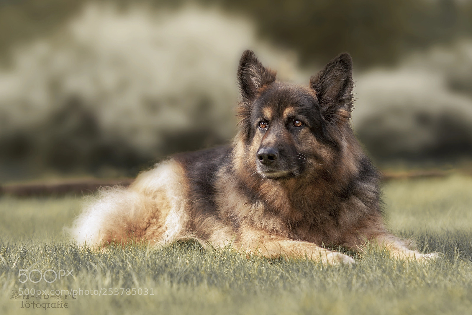 Nikon D5200 sample photo. Mia an amazing german photography