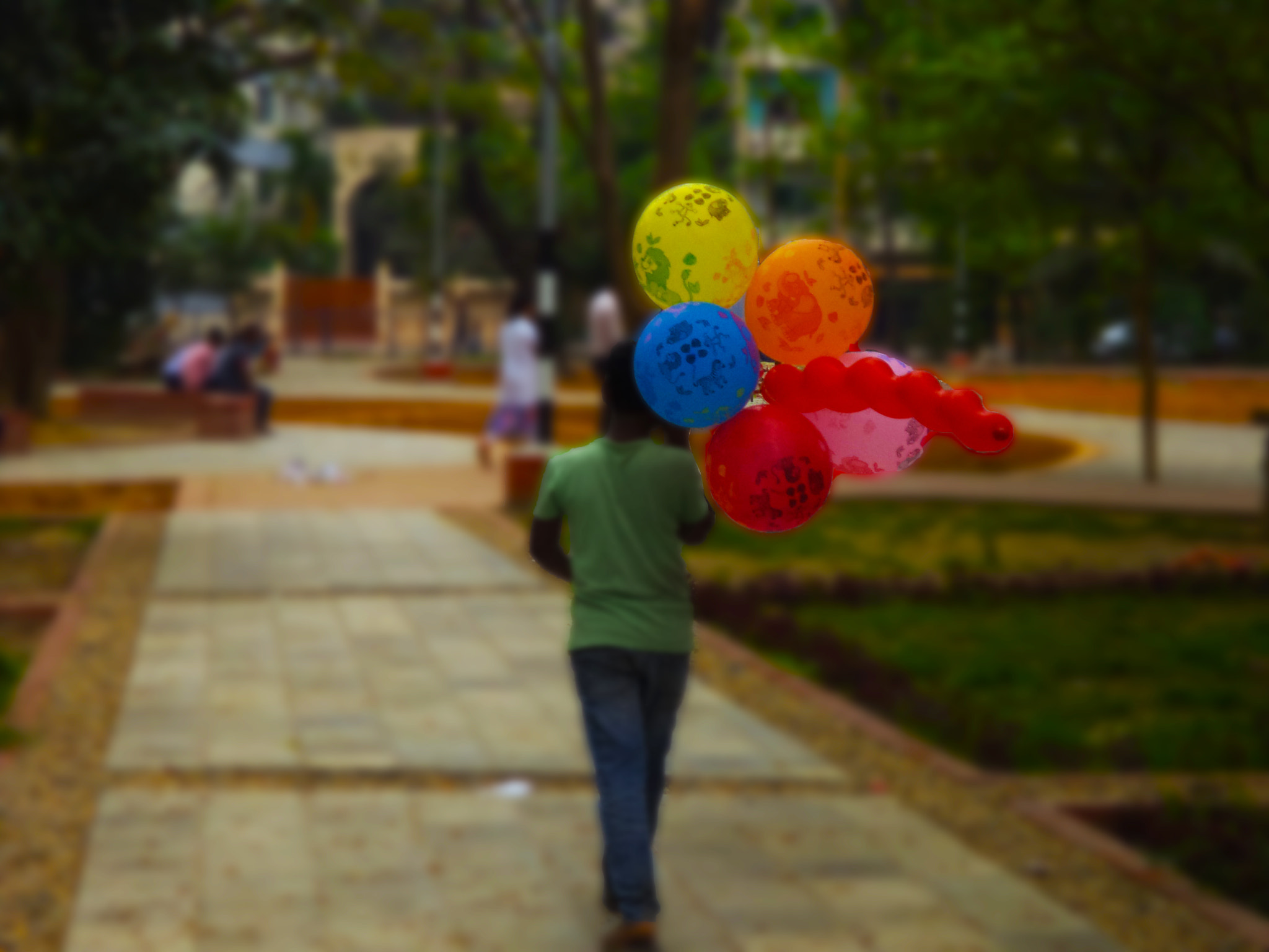 Sony DSC-W620 sample photo. A dreamer... photography