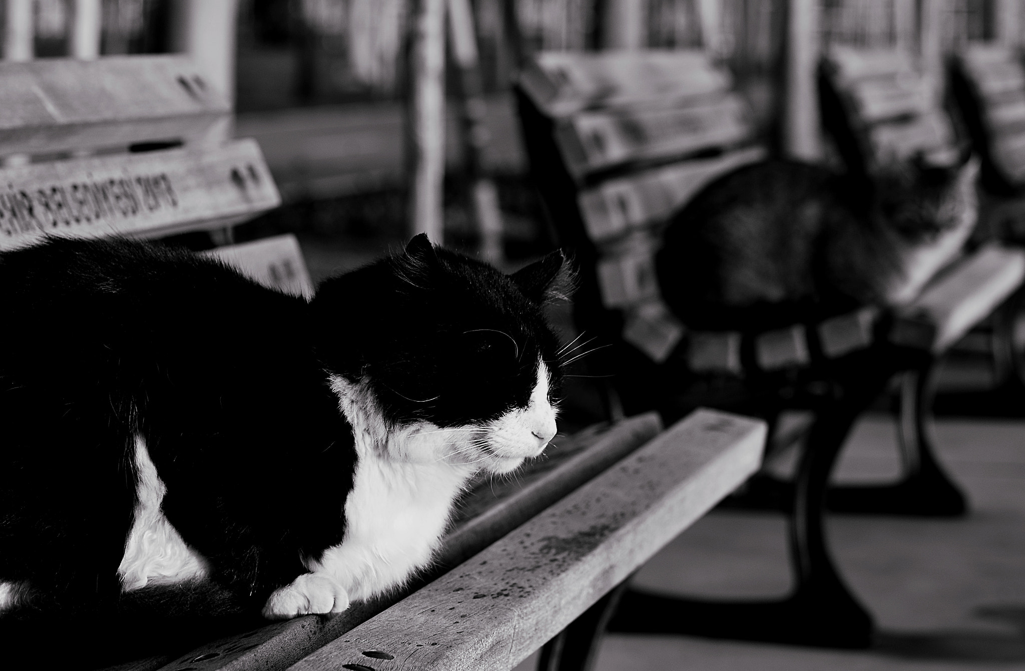 Nikon D7000 sample photo. Oa56 photography