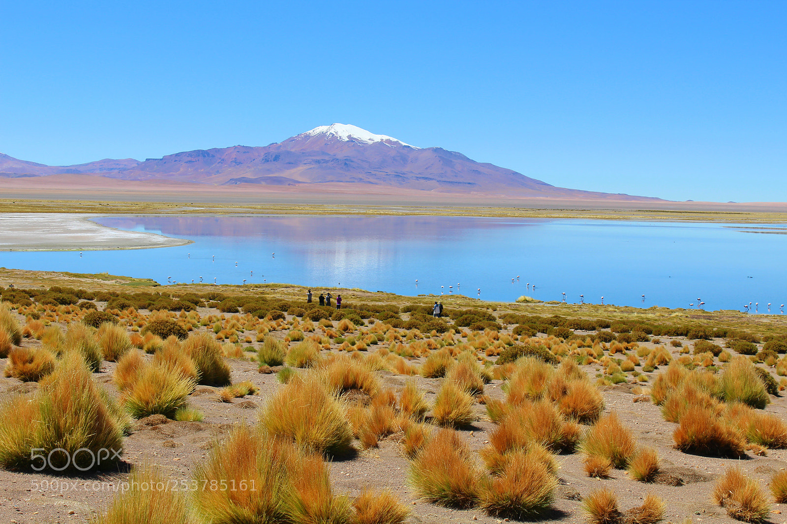Canon EOS 1200D (EOS Rebel T5 / EOS Kiss X70 / EOS Hi) sample photo. Vista salar photography