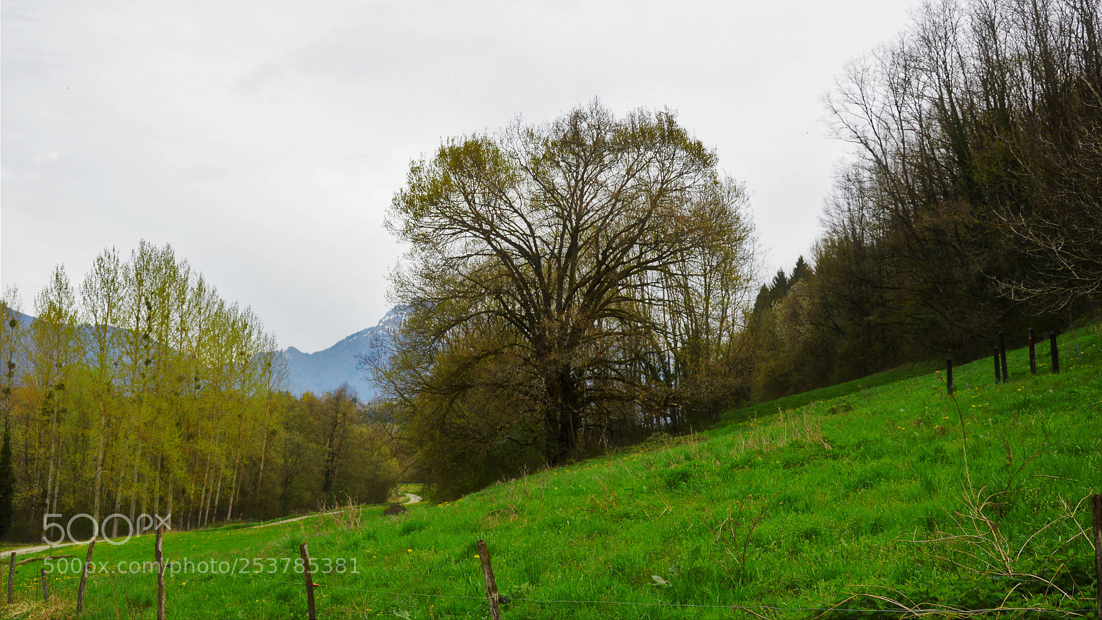 Nikon D3200 sample photo. Untitled photography