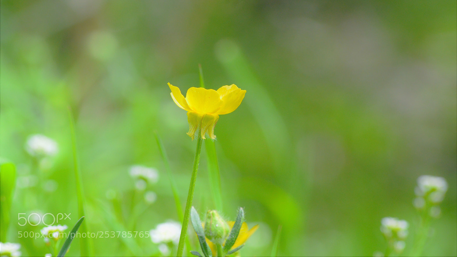 Nikon D3200 sample photo. Untitled photography