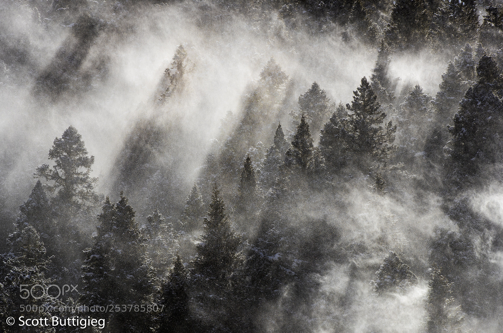 Canon EOS-1D X Mark II sample photo. Snow dust photography