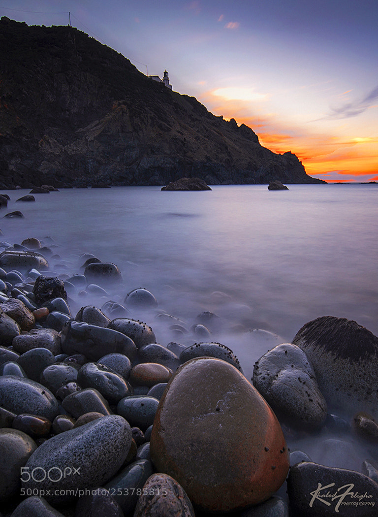 Nikon D610 sample photo. After day photography