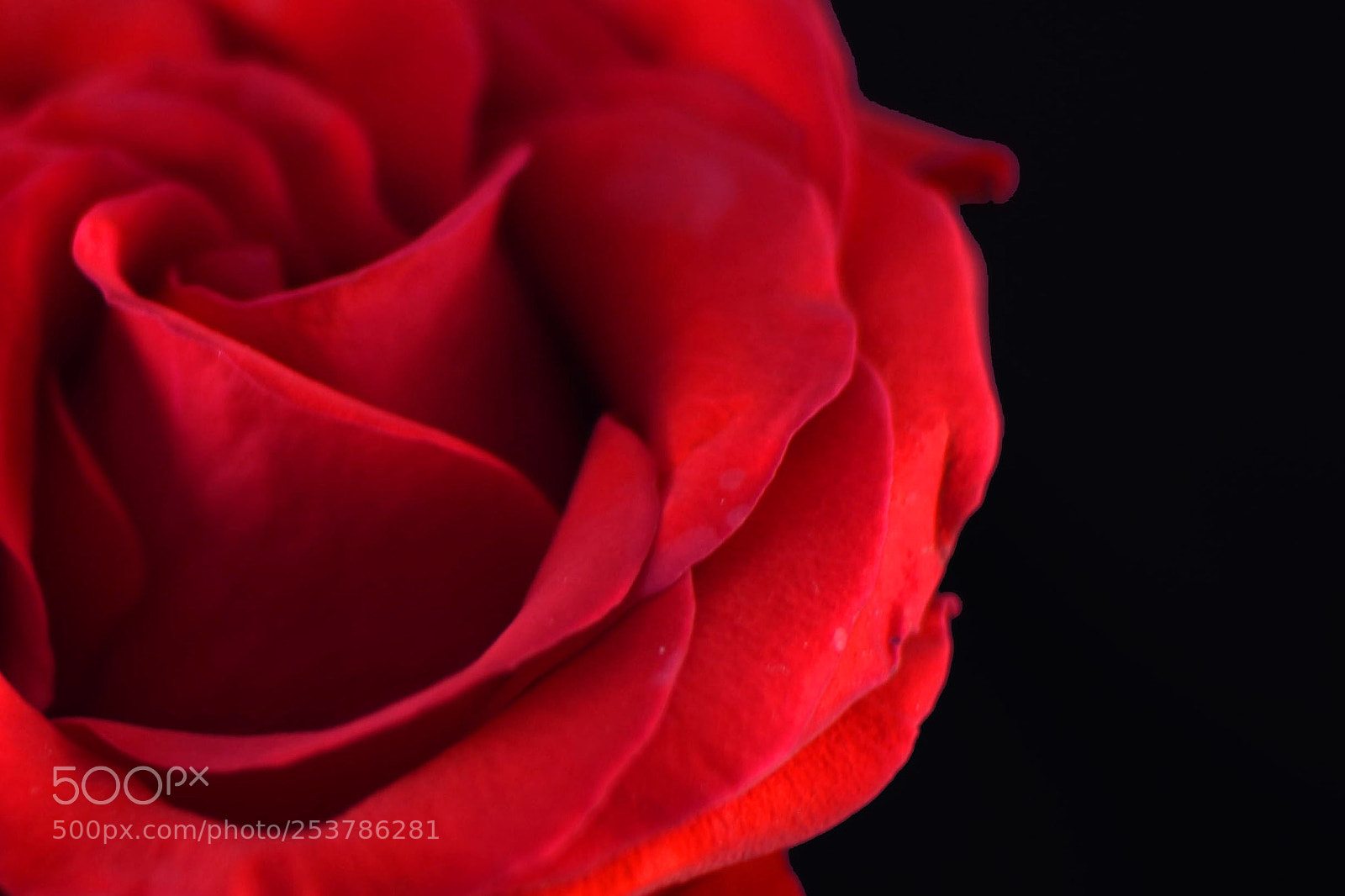 Nikon D7200 sample photo. Au c ur de photography