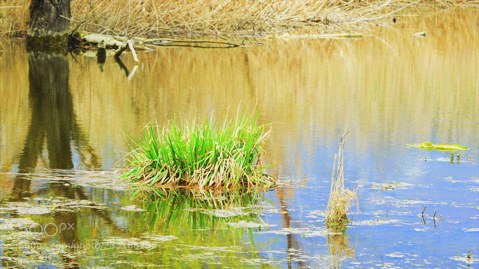 Nikon D3200 sample photo. Untitled photography