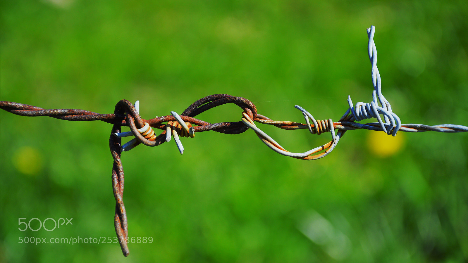 Nikon D3200 sample photo. Untitled photography