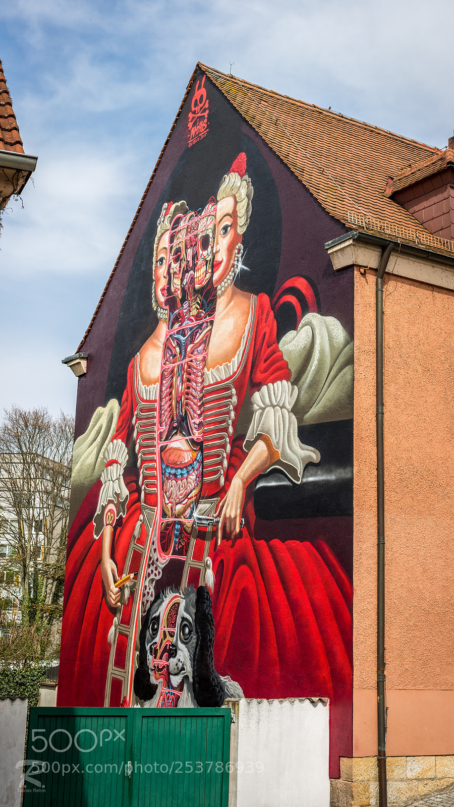 Canon EOS 760D (EOS Rebel T6s / EOS 8000D) sample photo. Bayreuth street-art 1 photography