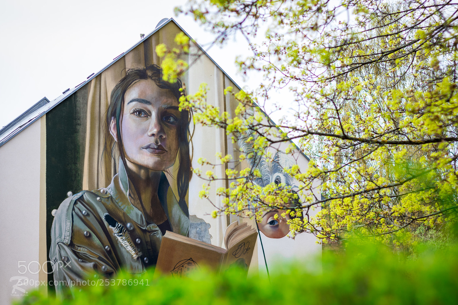 Canon EOS 760D (EOS Rebel T6s / EOS 8000D) sample photo. Bayreuth street-art 2 photography