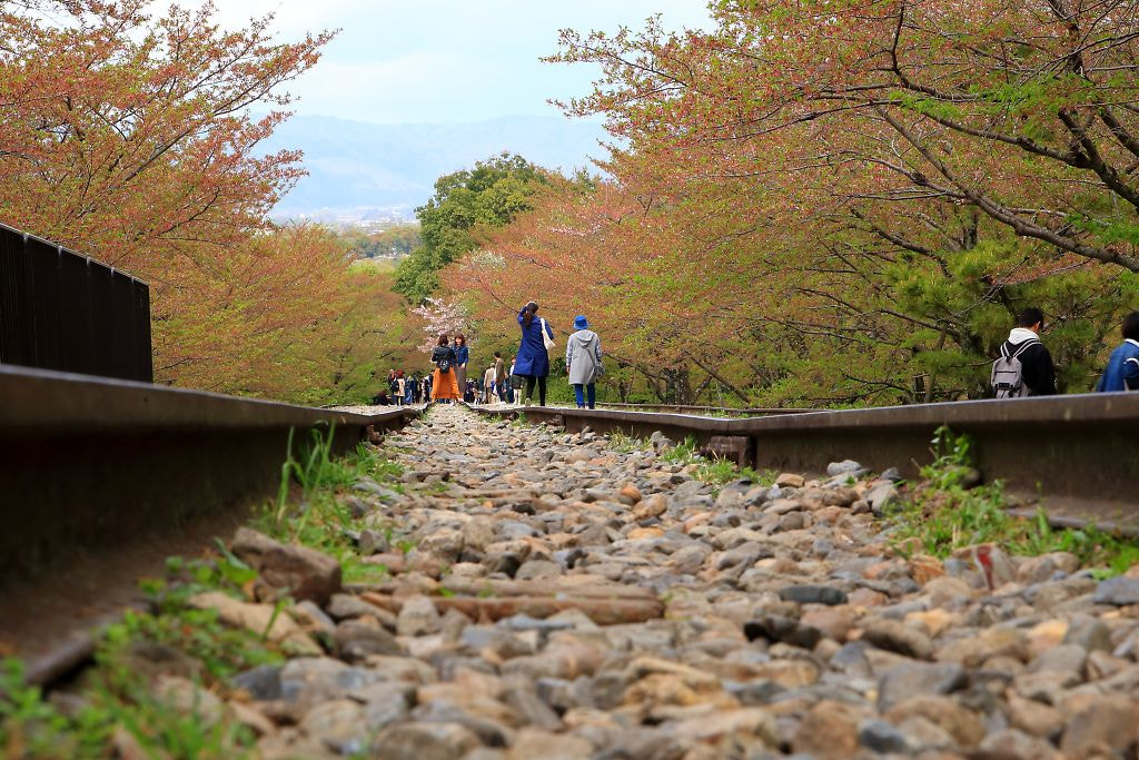 Canon EOS-1D Mark III sample photo. Incline photography