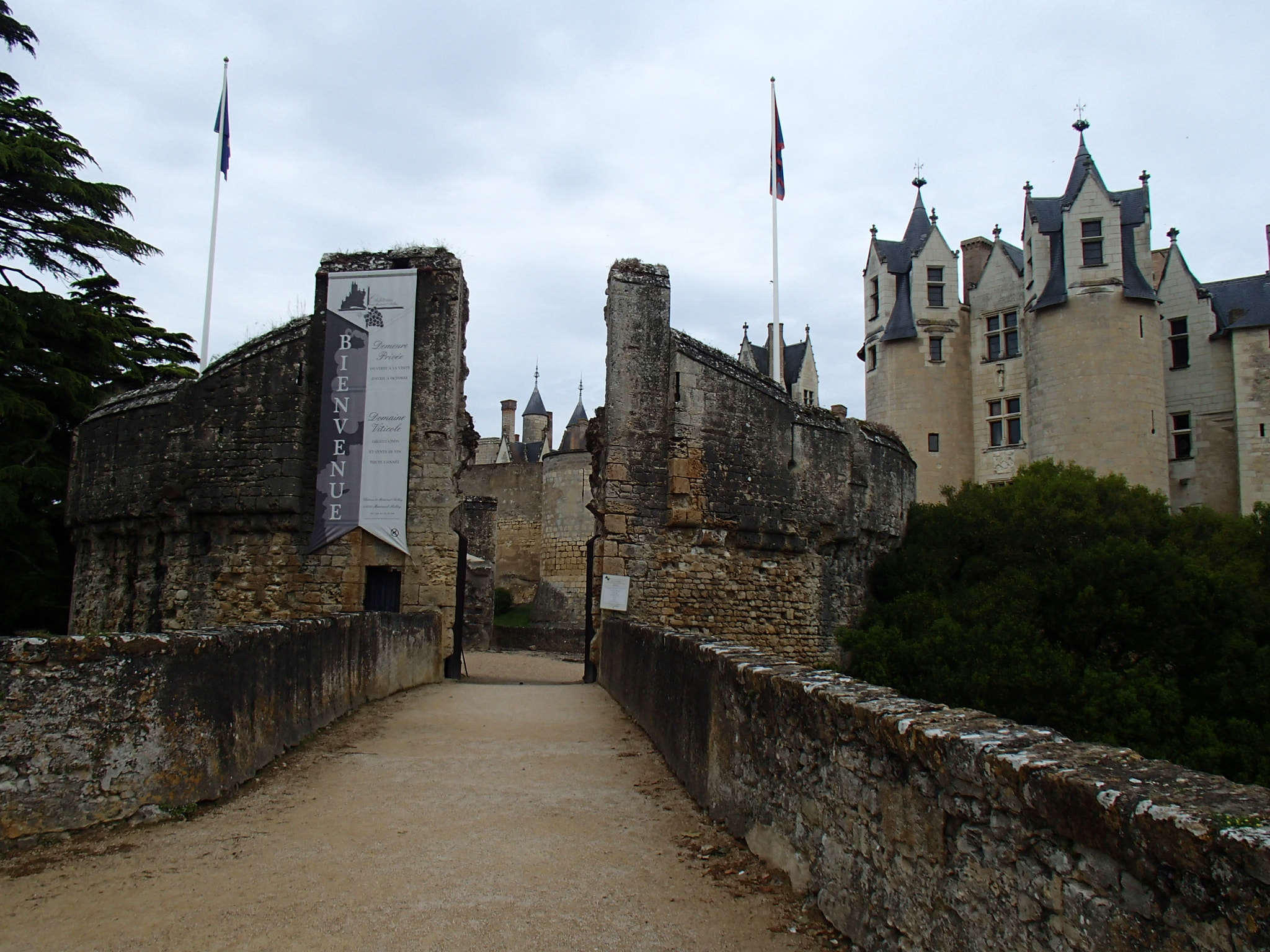 Olympus TG-820 sample photo. Castillo de montreuil-bellay (49) francia photography