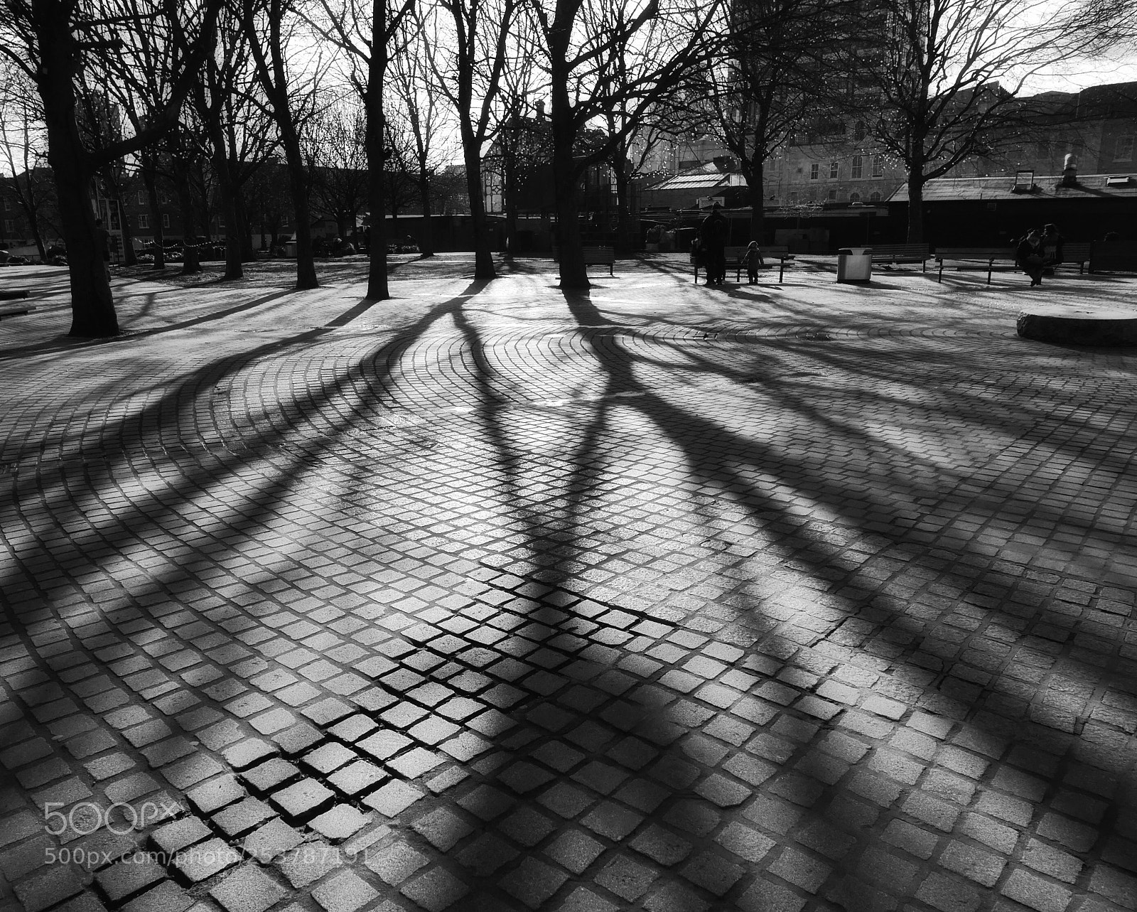 Panasonic Lumix DMC-LX100 sample photo. Casting shadows photography