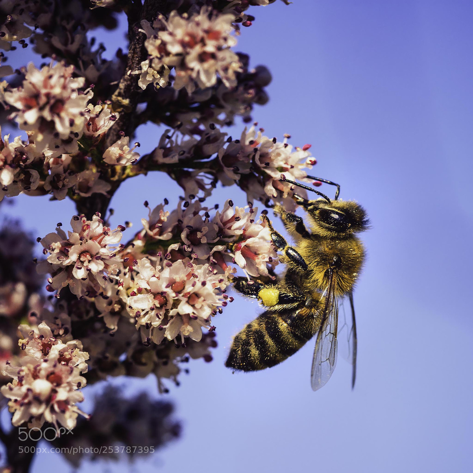 Nikon D7200 sample photo. Untitled photography